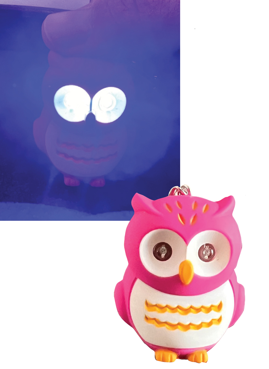 Fig. 3. A blue LED owl keychain can be useful for corneal assessment.