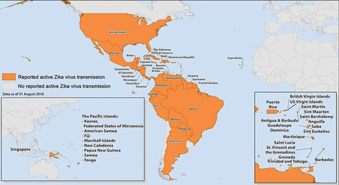 Fig. 2. All countries and territories with active ZIKV transmission. 
