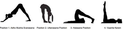 Subjects performed several yoga positions, including downward facing dog, standing forward bend, plow and legs up the wall. Image: PLOS ONE.