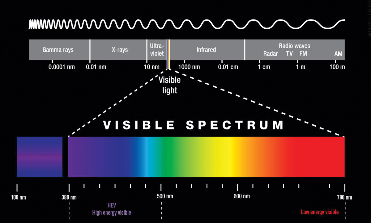 Within the visible light spectrum, short wavelengths, such as violet and blue, reach the retina and are higher energy than long wavelengths, such as orange and red.