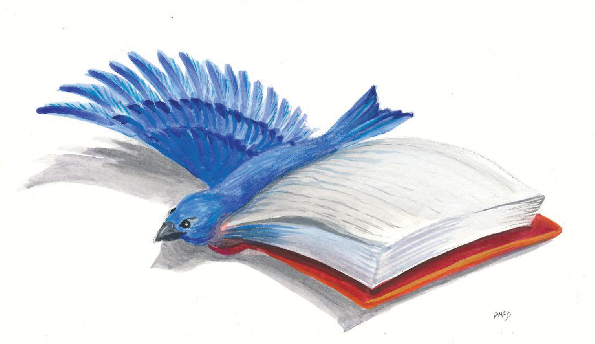 One minor visual hallucination—illusion—involves the patient transiently seeing one object as another, such as a book for a bird. 