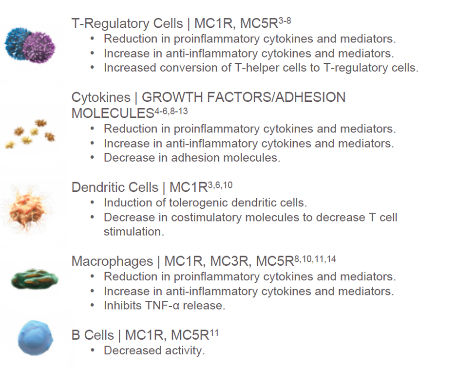 Fig. 3. Engaging all five MC receptors may have an impact on immune cells and cytokines.