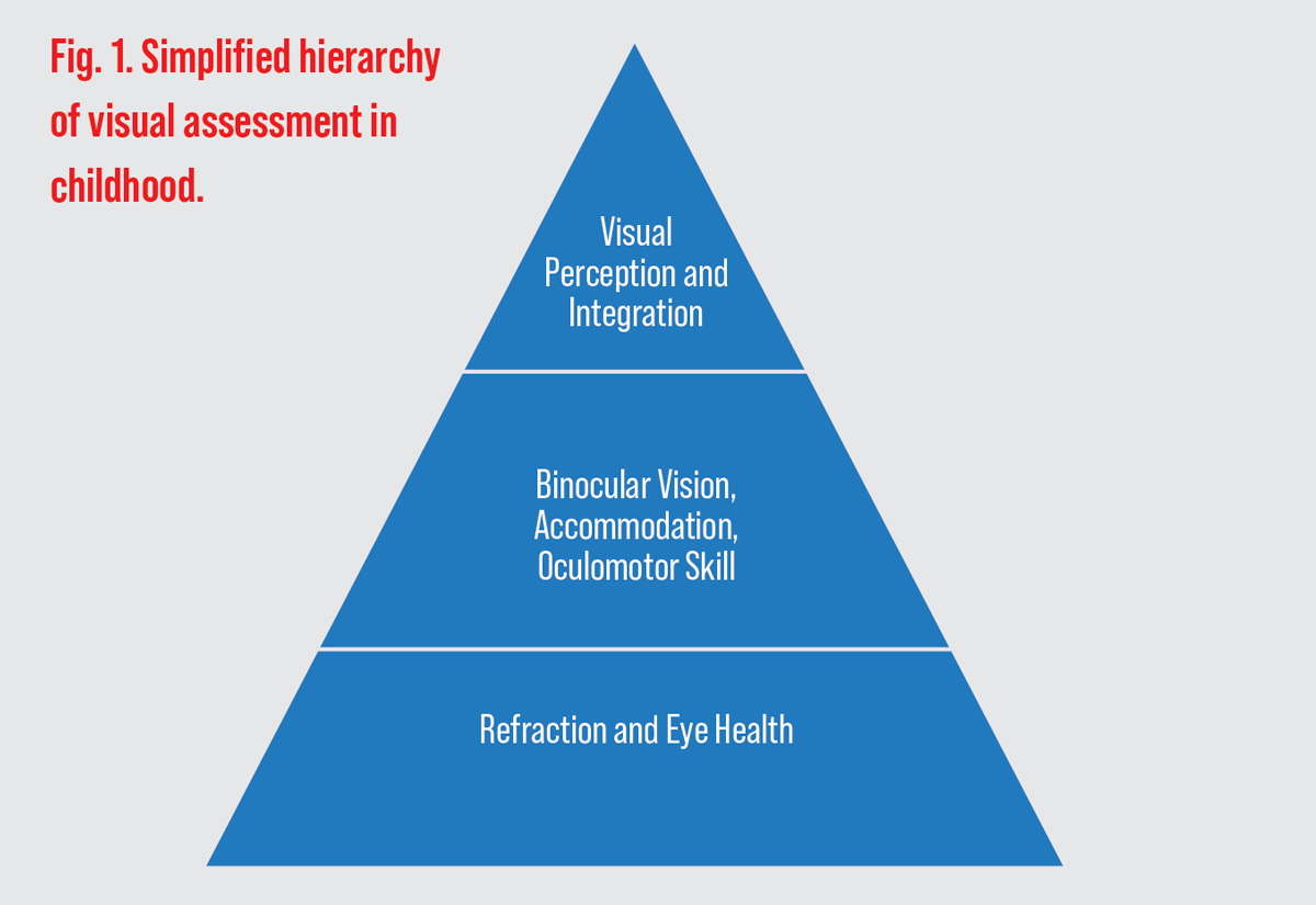Fig. 1. Simplified hierarchy of visual assessment in childhood.